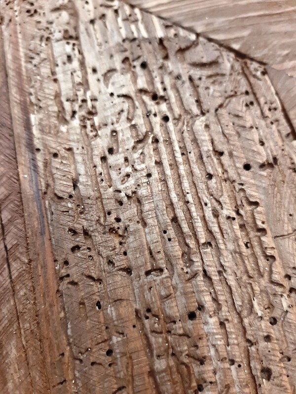 【2点セット】スツール チェア チェアー 木製スツール 木製 古材 アンティーク スタッキング オットマン - 画像 (13)