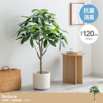 【高さ120cm】Nature 光触媒人工観葉植物 パキラ
