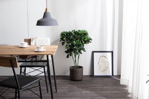 【高さ90cm】Nature 光触媒人工観葉植物 カポック - 画像 (5)