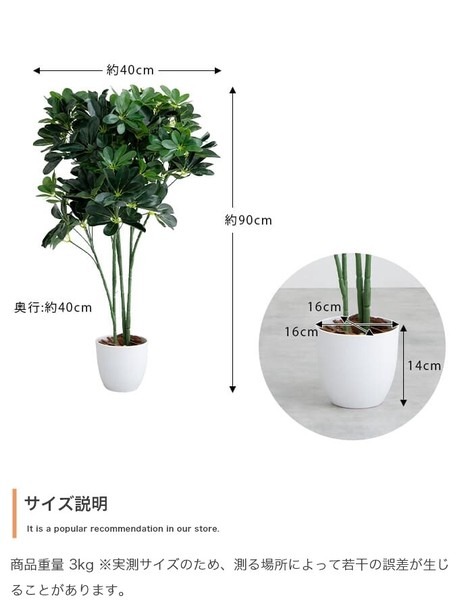 【高さ90cm】Nature 光触媒人工観葉植物 カポック - 画像 (9)