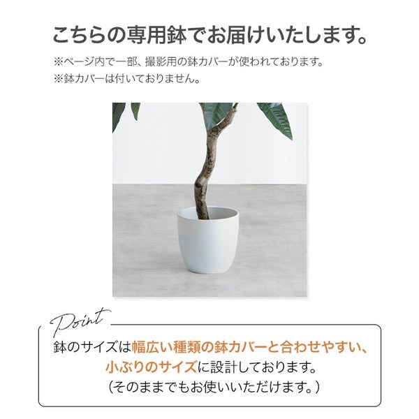 【高さ90cm】Nature 光触媒人工観葉植物 カポック - 画像 (10)
