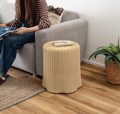 【2点セット】ラタン調 チェア スツール 切り株風スツール スチール サイドテーブル 北欧 ジャパンディ