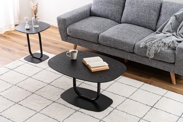 センターテーブル ローテーブル サイドテーブル テーブル 木天板 リビングテーブル ソファ ベッドサイド - 画像 (19)