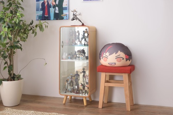 コレクションシェルフ コレクションケース 脚付き コレクションボード ガラスショーケース - 画像 (6)